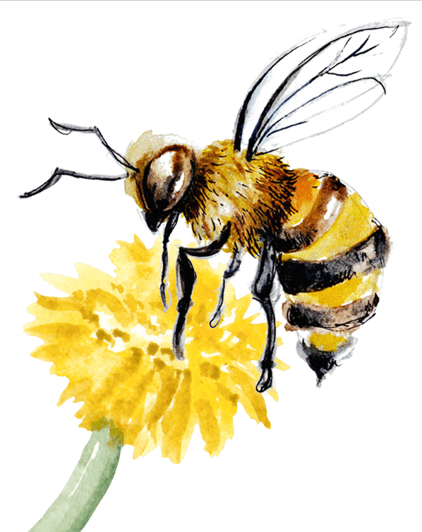 Creative Innovation - Buzz-worthy creativity that captures attention and drives engagement. Our innovative designs and campaigns make your brand stand out in a crowded digital landscape. by Mirch Media