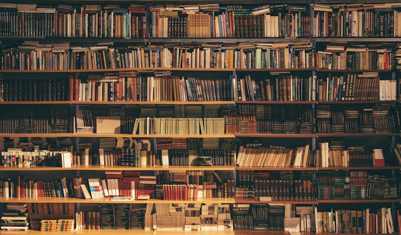 Paid Ads & Performance Marketing for Education